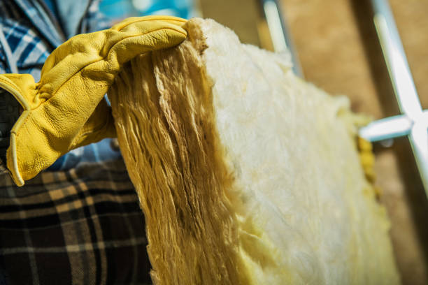 Best Specialty Insulation in Gilbert, IA